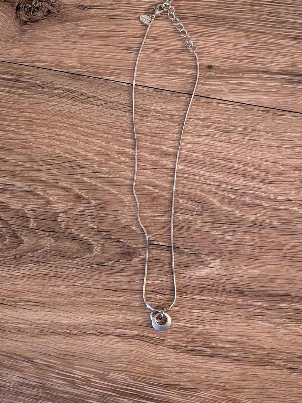 Lia Sophia Silver Double Circle Pendant Necklace